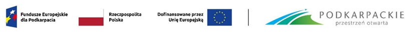 Logo 2025 BR